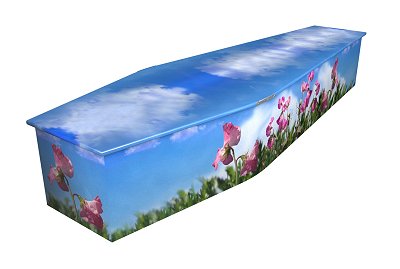 Sweet Pea Colourful coffin